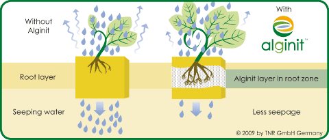 Water retention with Alginit - reduces seepage